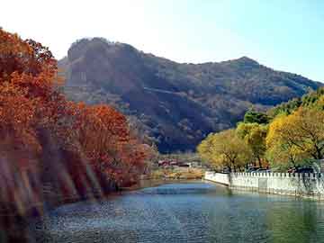 天天彩好彩天天免费，铁屑压块